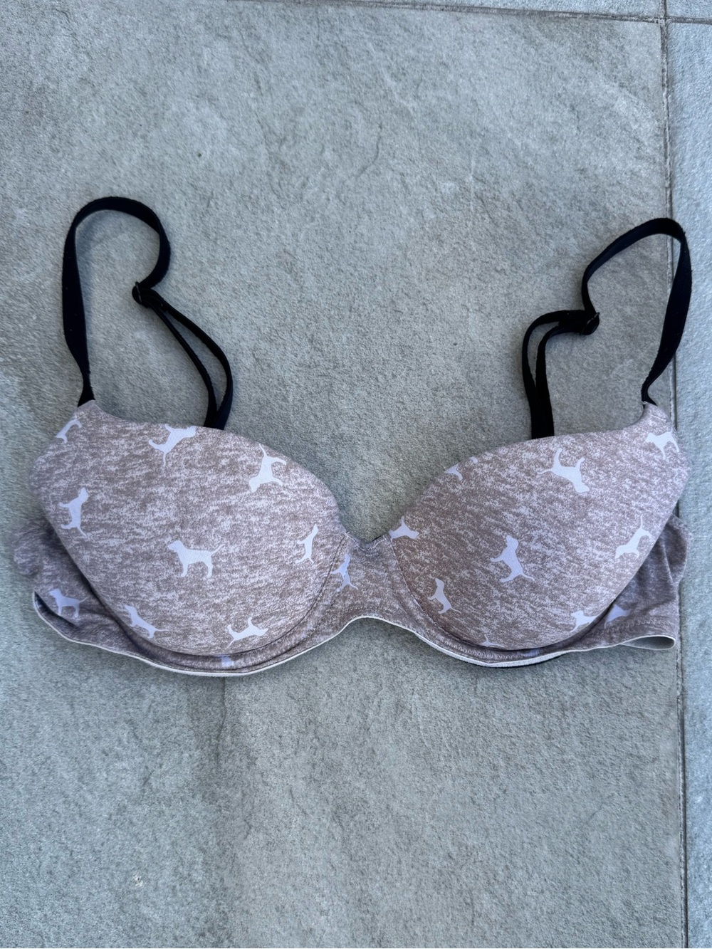 PINK Wear Everywhere Dog Print Push Up Bra — 34B